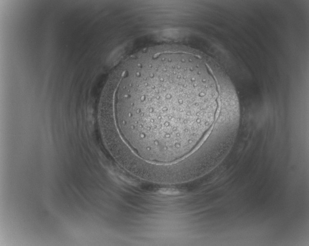 X0000081600749200701221136