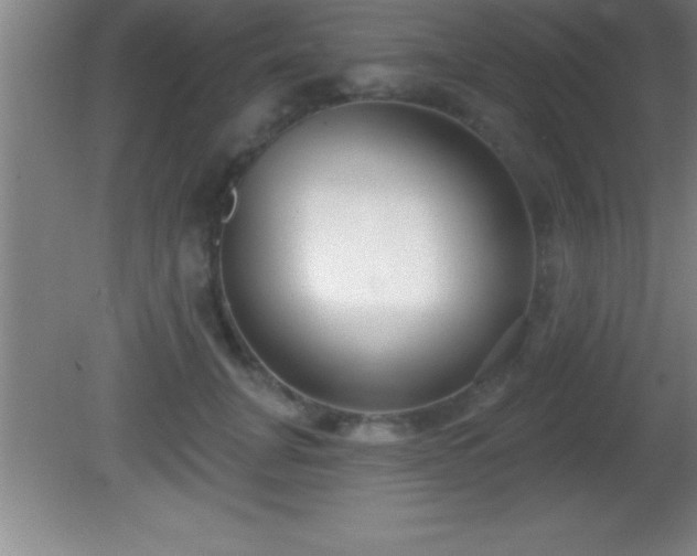 X0000081600751200701221136