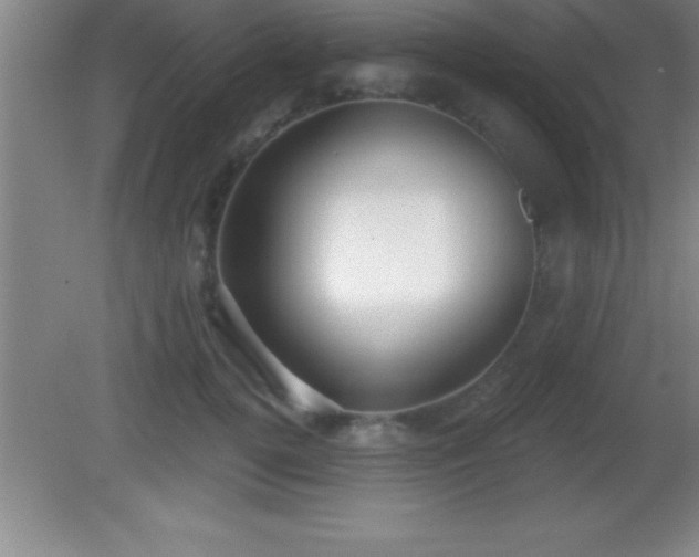 X0000081600752200701221136