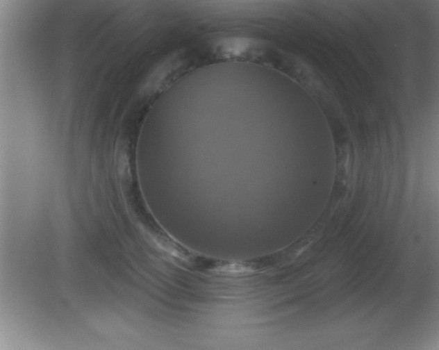 X0000081600754200701221136