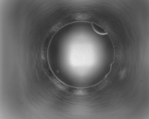 X0000081600755200701221136