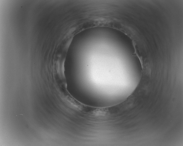 X0000081600756200701221136