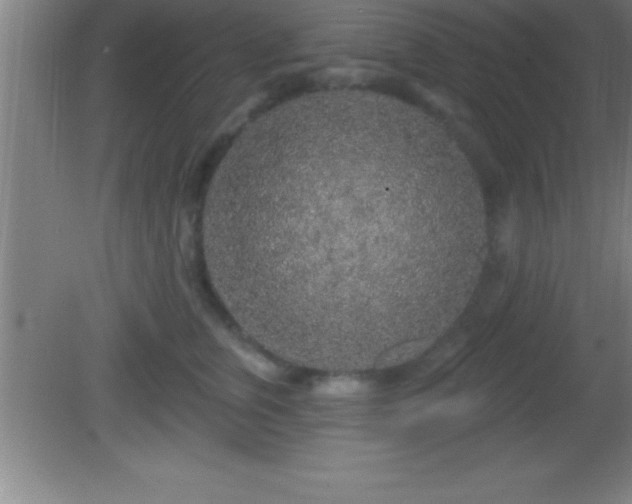 X0000081600759200701221136