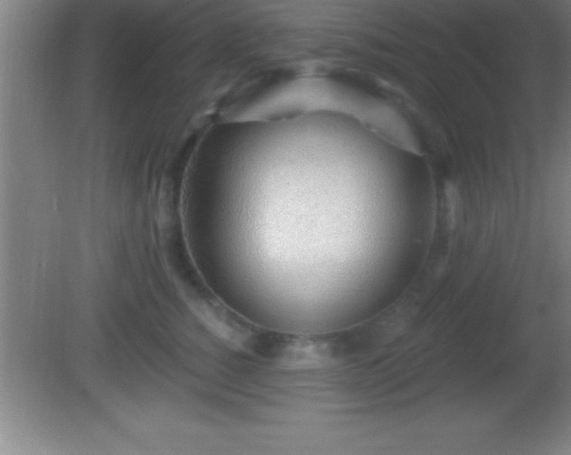 X0000081600760200701221136