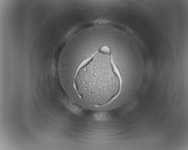 X0000081600761200701221136