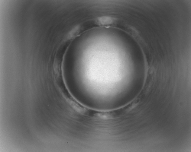 X0000081600763200701221136