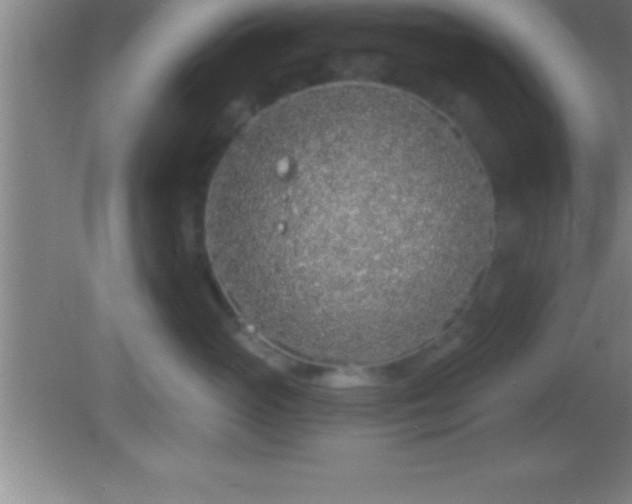 X0000081600765200701221136