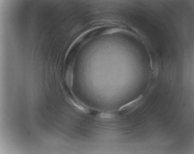 X0000081600766200701221136