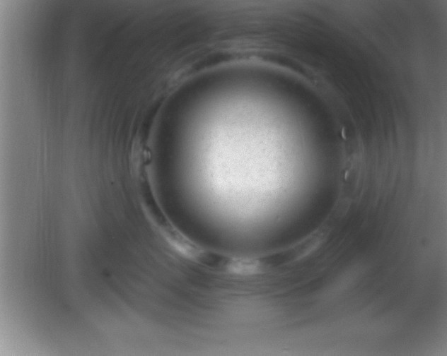 X0000081600767200701221136