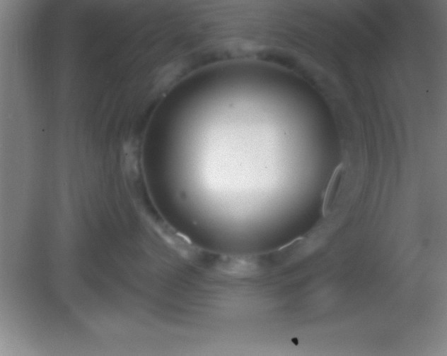 X0000081600768200701221136