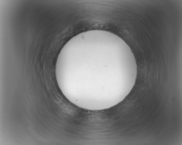 X0000081600769200701221135