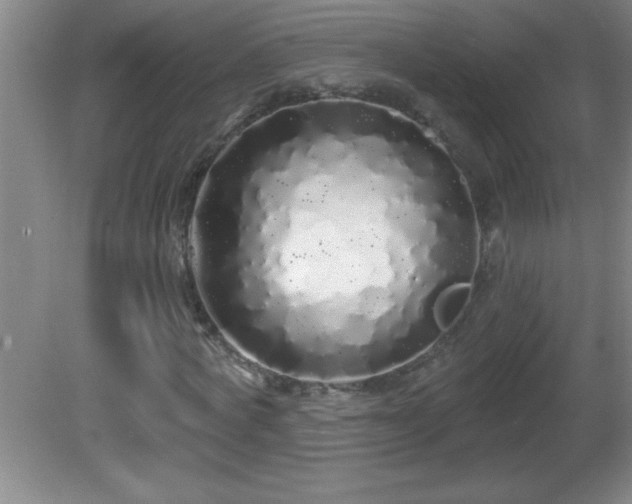 X0000081600772200701221135