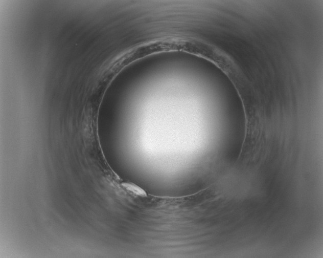 X0000081600773200701221135