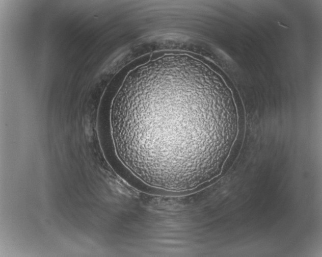 X0000081600774200701221135