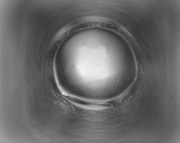 X0000081600775200701221135