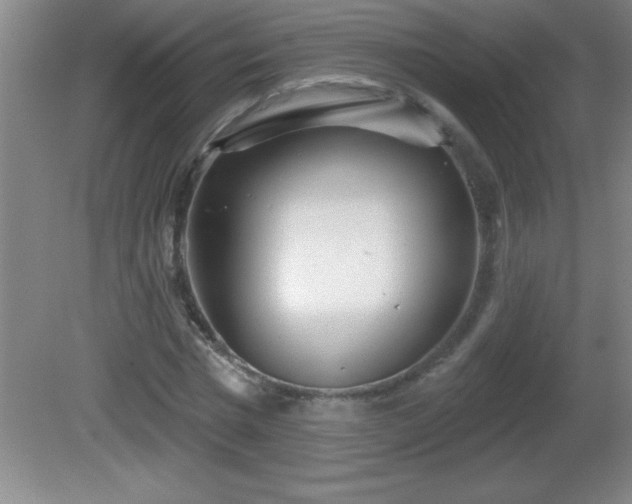 X0000081600777200701221135