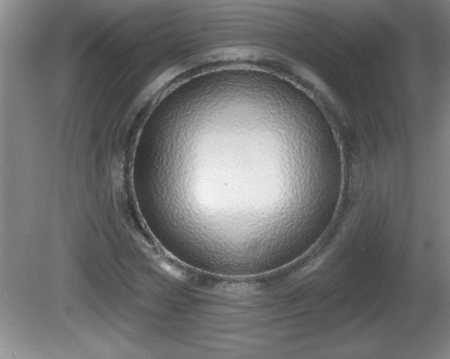 X0000081600778200701221135