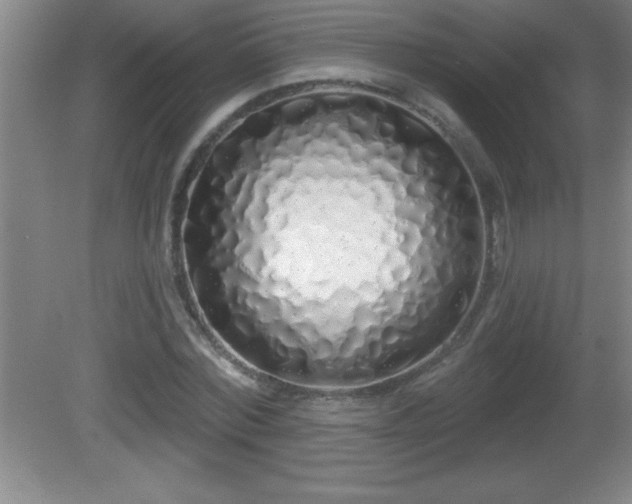 X0000081600780200701221135