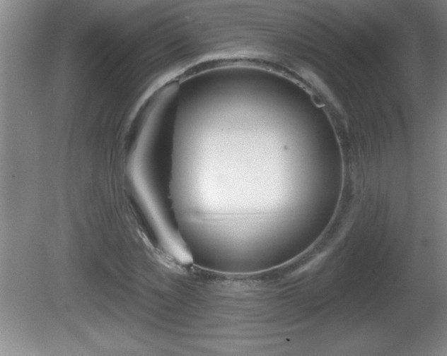 X0000081600781200701221135