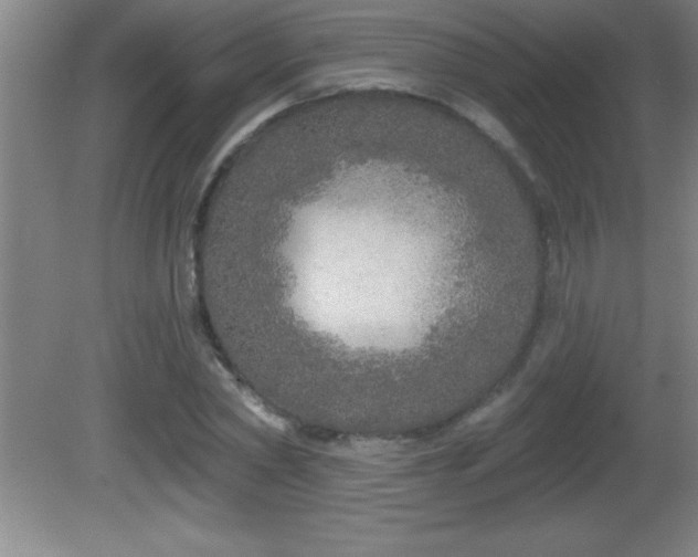 X0000081600782200701221135