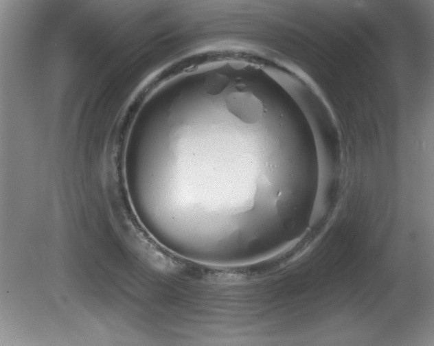 X0000081600783200701221135