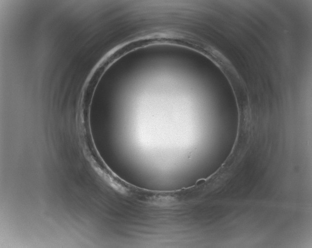 X0000081600784200701221135