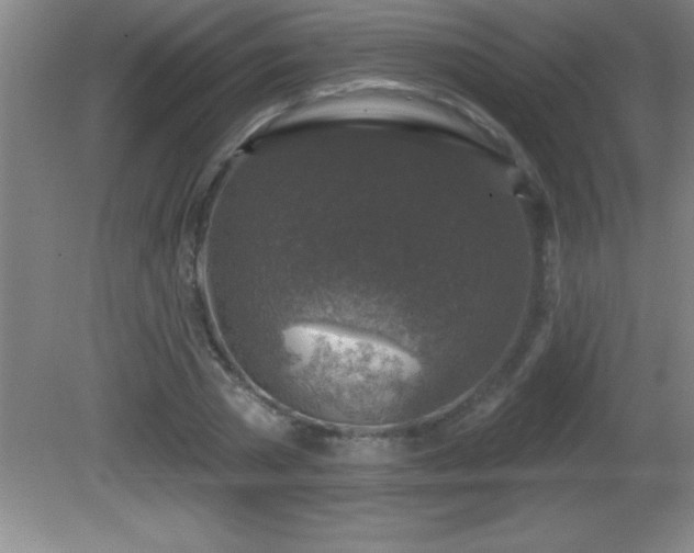 X0000081600785200701221135