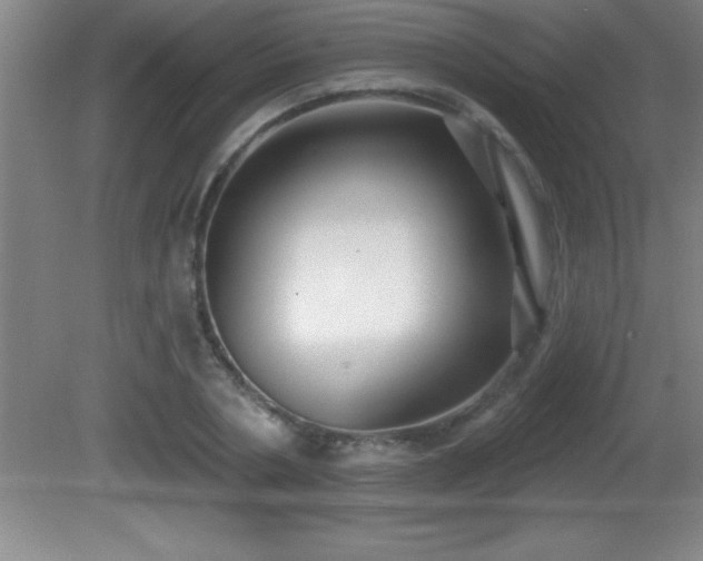 X0000081600786200701221135