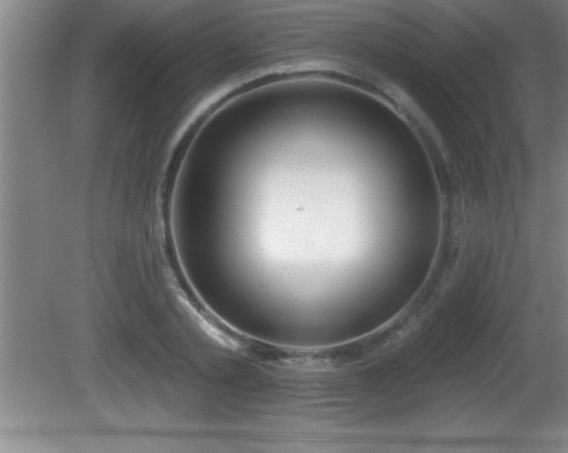 X0000081600789200701221135