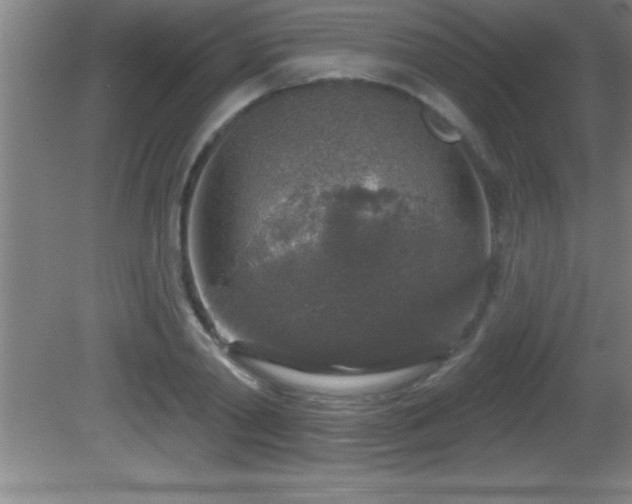 X0000081600790200701221135