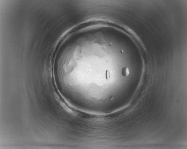 X0000081600791200701221135