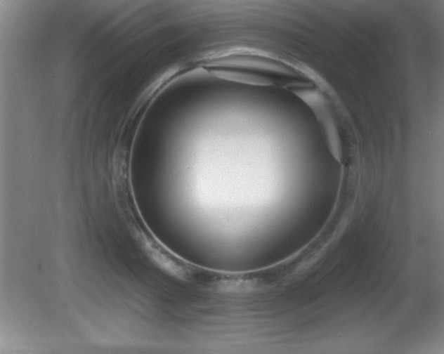 X0000081600793200701221135