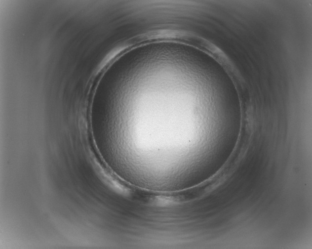 X0000081600794200701221135