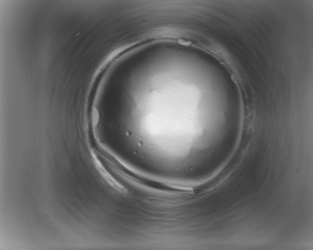 X0000081600795200701221135