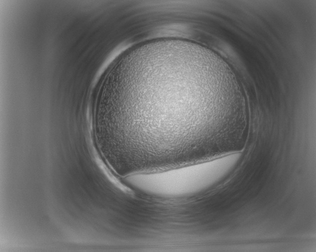 X0000081600796200701221135