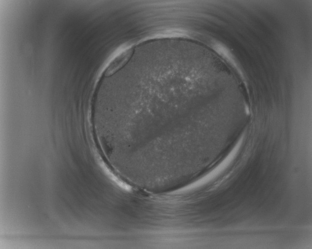 X0000081600797200701221135