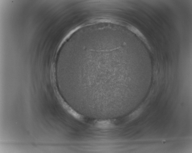 X0000081600798200701221135