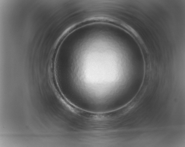 X0000081600799200701221135