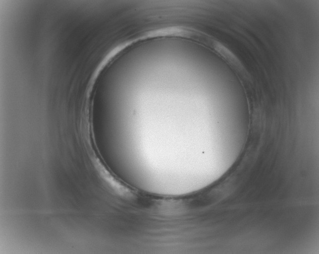 X0000081600800200701221135