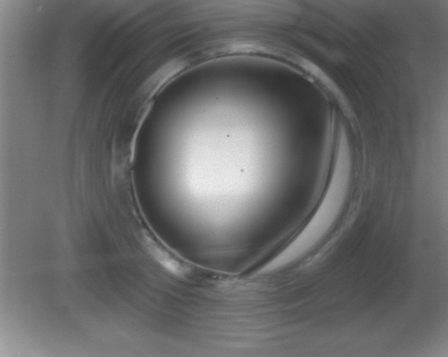 X0000081600801200701221135