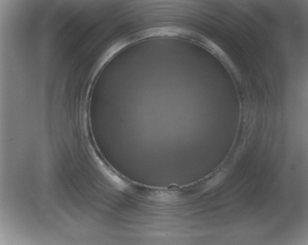 X0000081600802200701221135