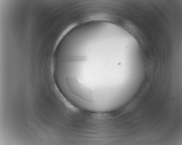 X0000081600804200701221135