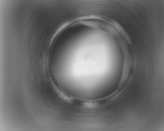 X0000081600805200701221135