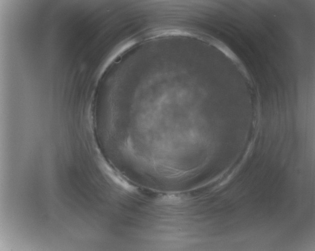 X0000081600806200701221135