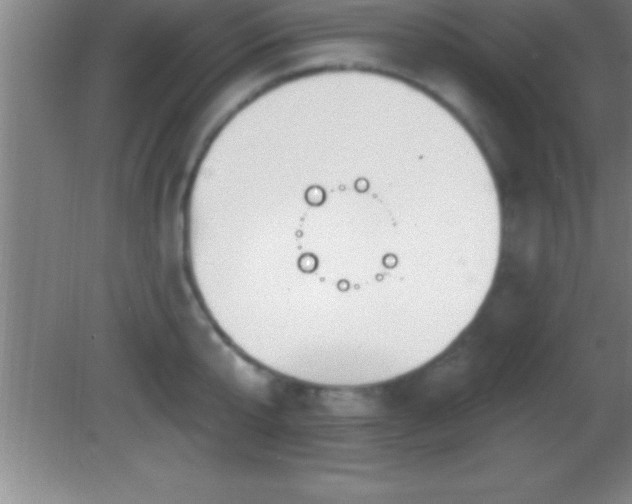 X0000081600807200701221135