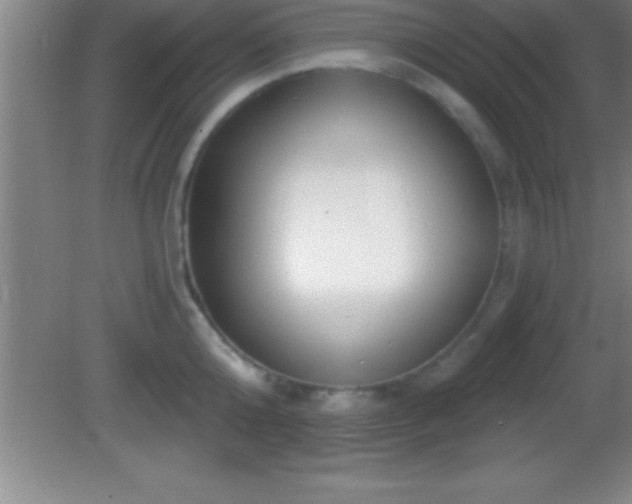 X0000081600808200701221135