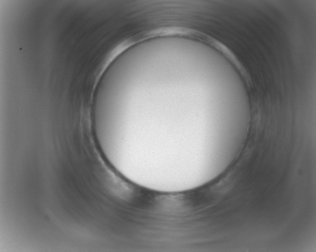 X0000081600810200701221135