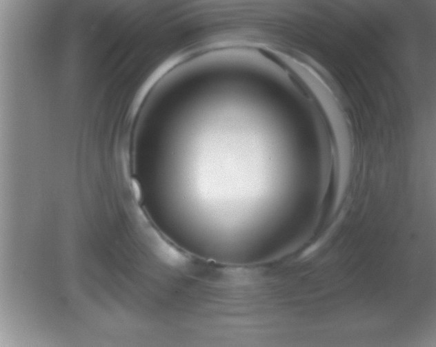 X0000081600812200701221135