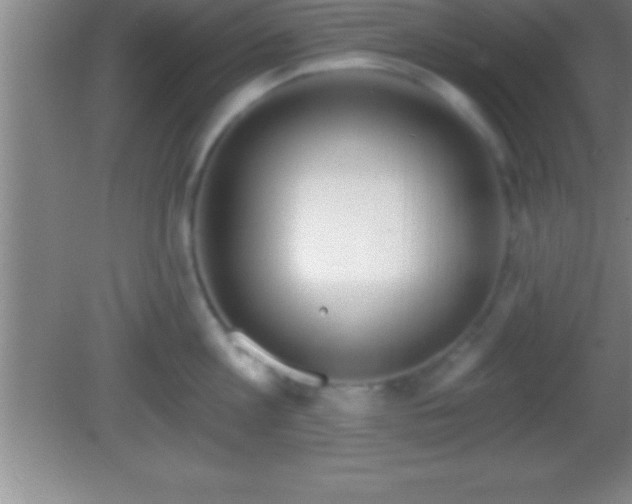 X0000081600813200701221135