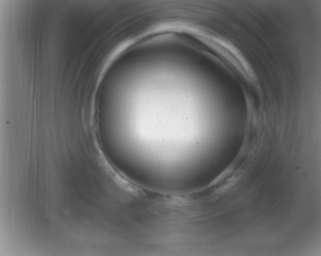 X0000081600815200701221135